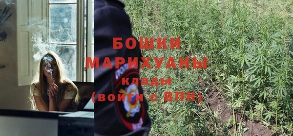 дживик Верея