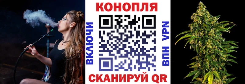 кракен tor  Вологда  Бошки Шишки конопля 